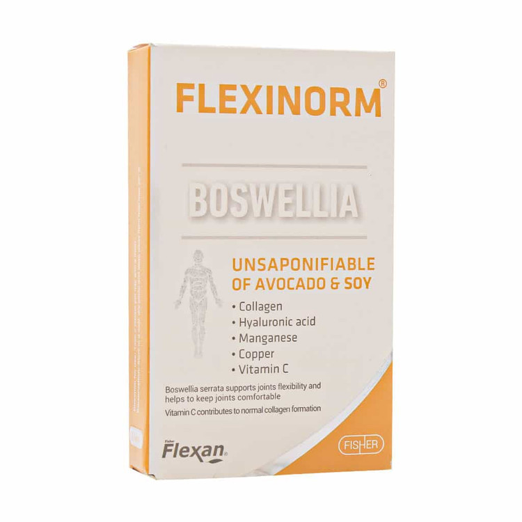 فلکسی نورم فیشر فلکسان