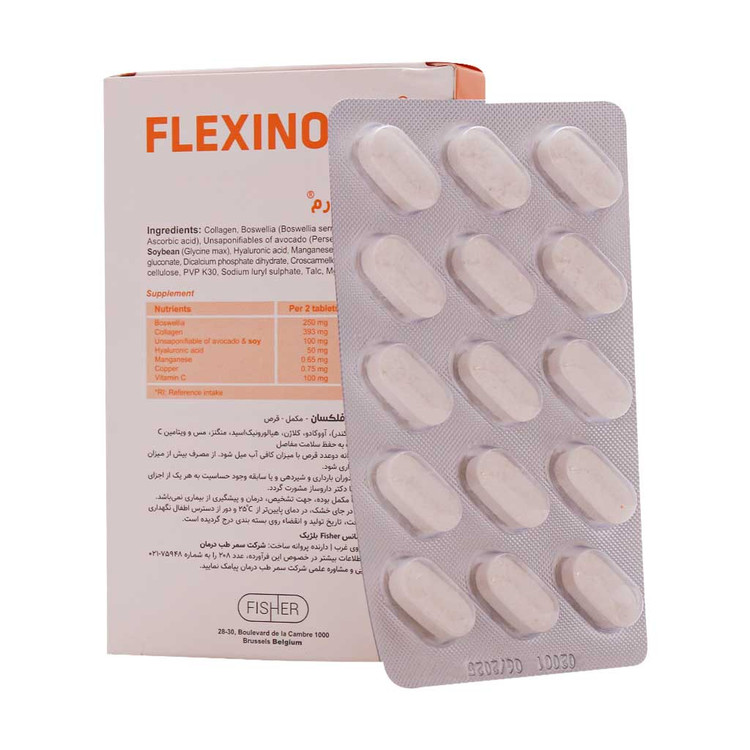 فلکسی نورم فیشر فلکسان